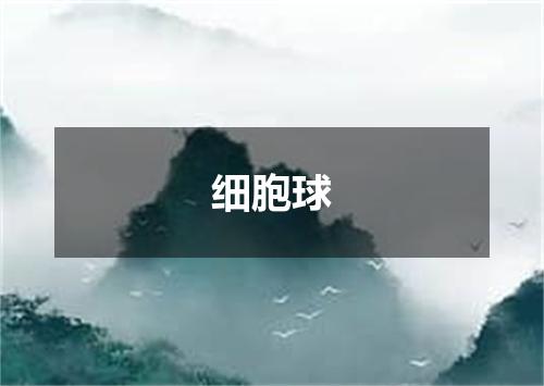 细胞球