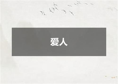爱人