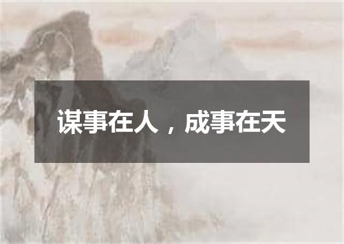 谋事在人，成事在天