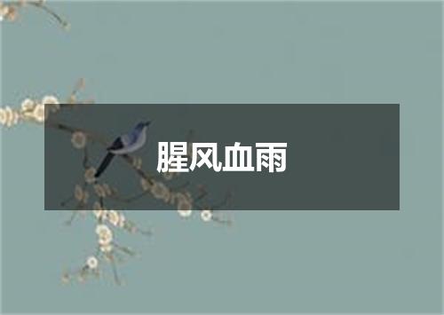 腥风血雨