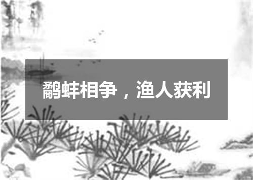 鹬蚌相争，渔人获利