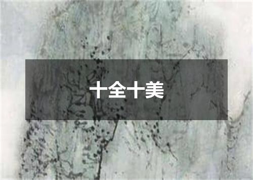 十全十美