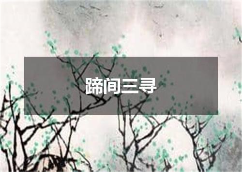 蹄间三寻