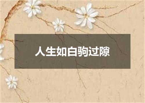 人生如白驹过隙