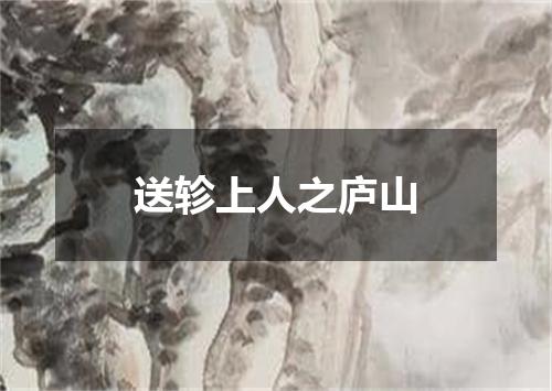 送轸上人之庐山