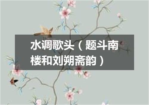 水调歌头（题斗南楼和刘朔斋韵）