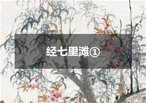 经七里滩①
