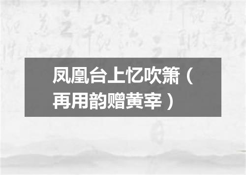 凤凰台上忆吹箫（再用韵赠黄宰）