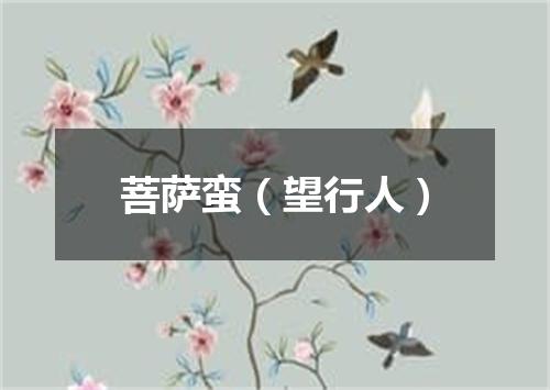 菩萨蛮（望行人）