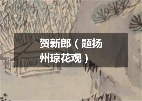 贺新郎（题扬州琼花观）