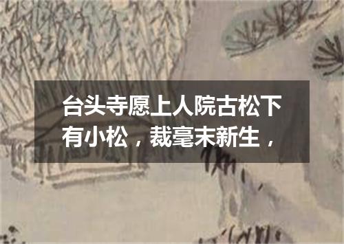 台头寺愿上人院古松下有小松，裁毫末新生，