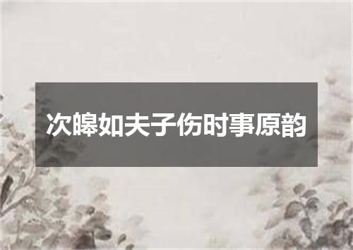 次皞如夫子伤时事原韵