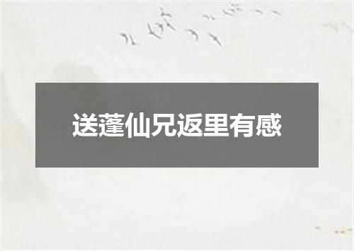 送蓬仙兄返里有感