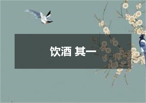 饮酒 其一