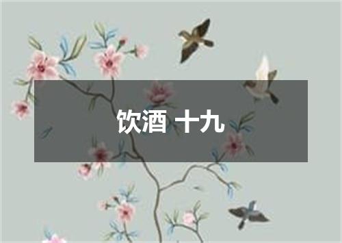 饮酒 十九