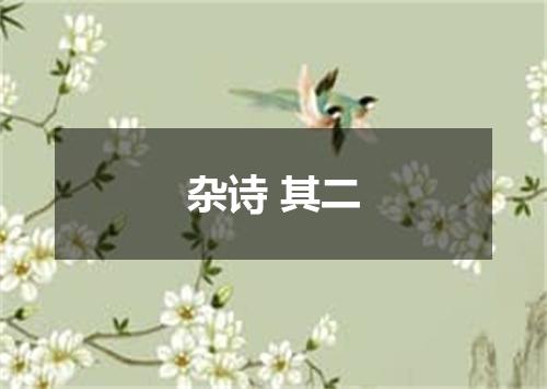 杂诗 其二