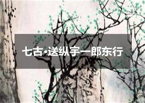 七古·送纵宇一郎东行