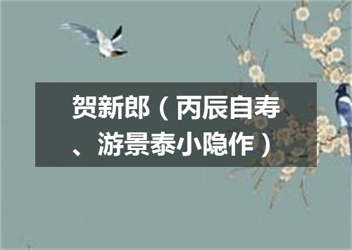 贺新郎（丙辰自寿、游景泰小隐作）