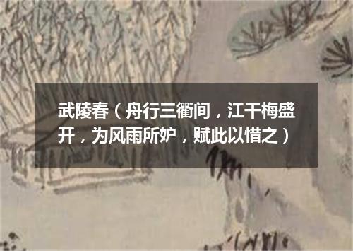 武陵春（舟行三衢间，江干梅盛开，为风雨所妒，赋此以惜之）