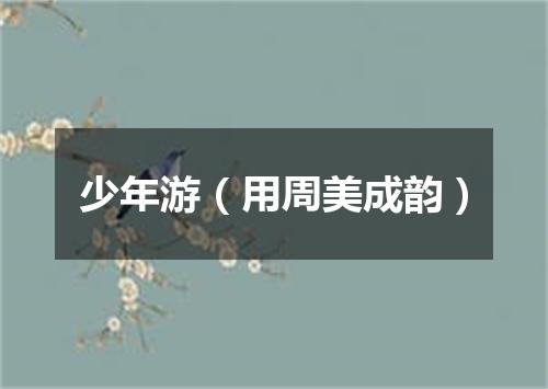 少年游（用周美成韵）