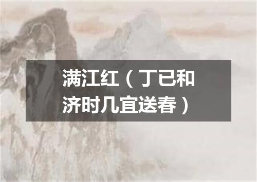 满江红(丁已和济时几宜送春)