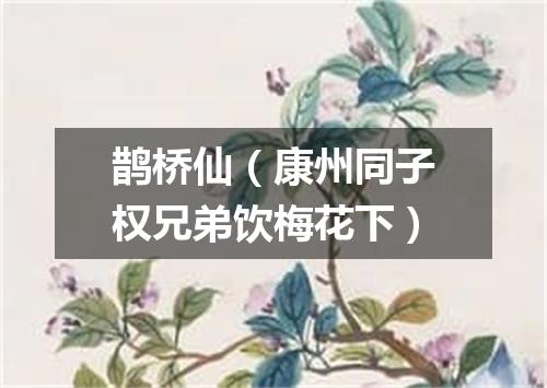 鹊桥仙(康州同子权兄弟饮梅花下)
