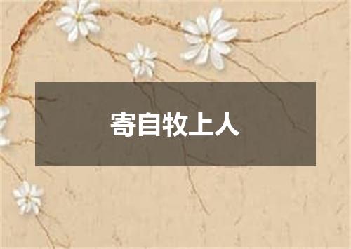 寄自牧上人