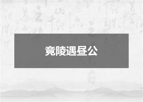 竟陵遇昼公