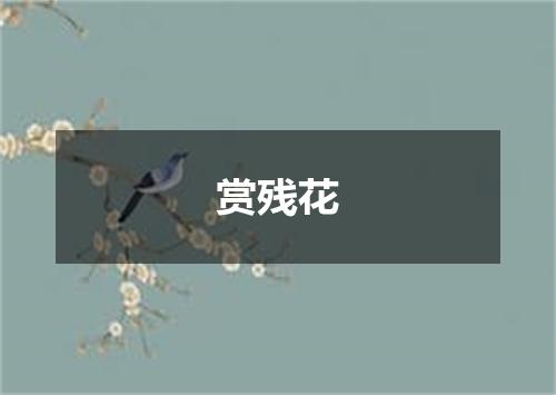 赏残花