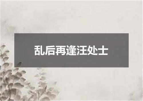 乱后再逢汪处士