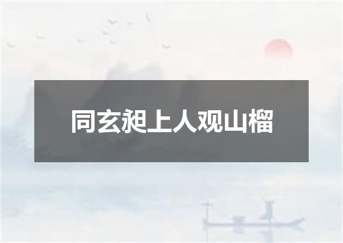 同玄昶上人观山榴