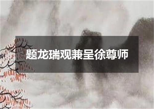 题龙瑞观兼呈徐尊师