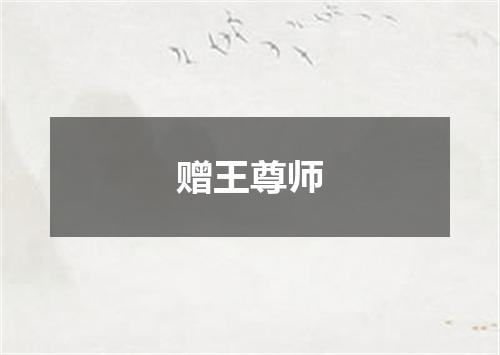 赠王尊师