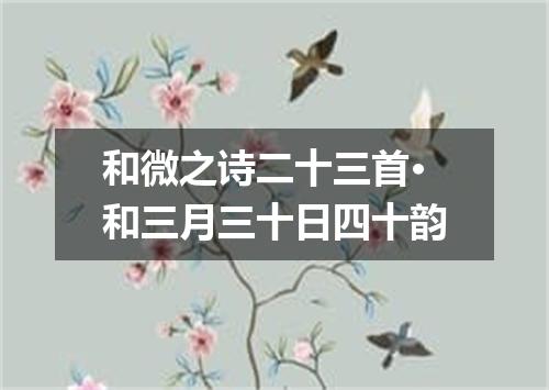 和微之诗二十三首·和三月三十日四十韵
