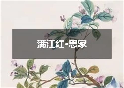 满江红·思家