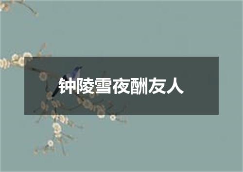 钟陵雪夜酬友人