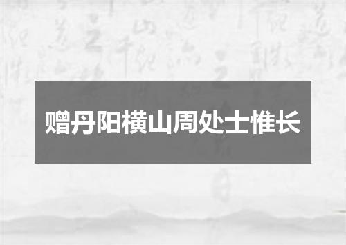 赠丹阳横山周处士惟长