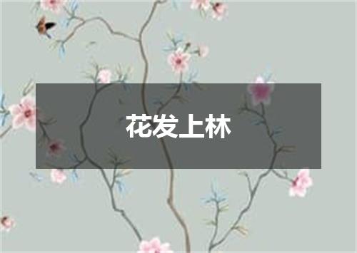 花发上林
