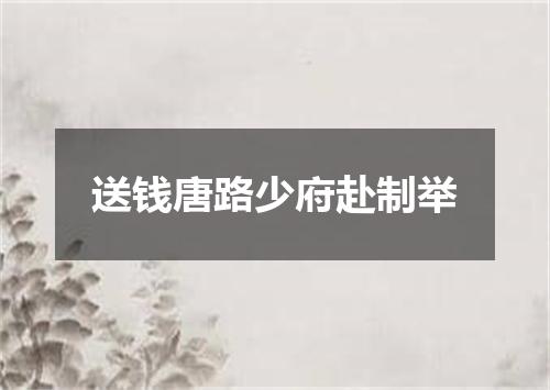 送钱唐路少府赴制举