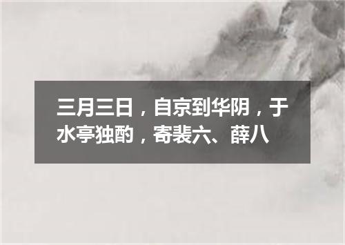 三月三日，自京到华阴，于水亭独酌，寄裴六、薛八