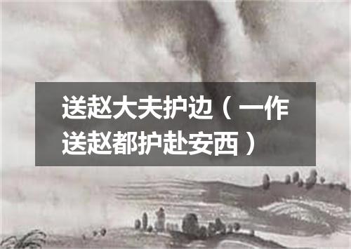 送赵大夫护边（一作送赵都护赴安西）