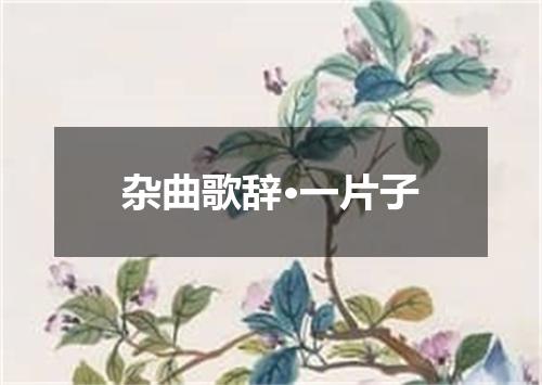 杂曲歌辞·一片子