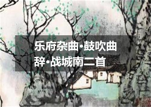 乐府杂曲·鼓吹曲辞·战城南二首