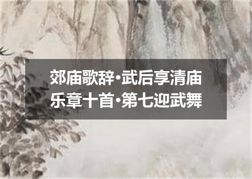 郊庙歌辞·武后享清庙乐章十首·第七迎武舞