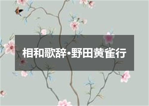 相和歌辞·野田黄雀行
