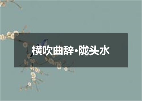 横吹曲辞·陇头水