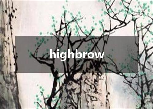 highbrow是什么意思