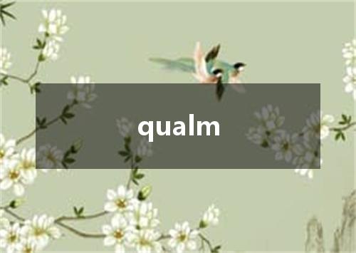 qualm是什么意思