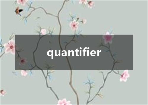 quantifier是什么意思