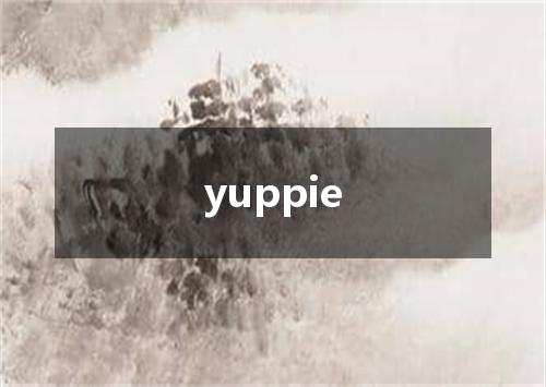 yuppie是什么意思